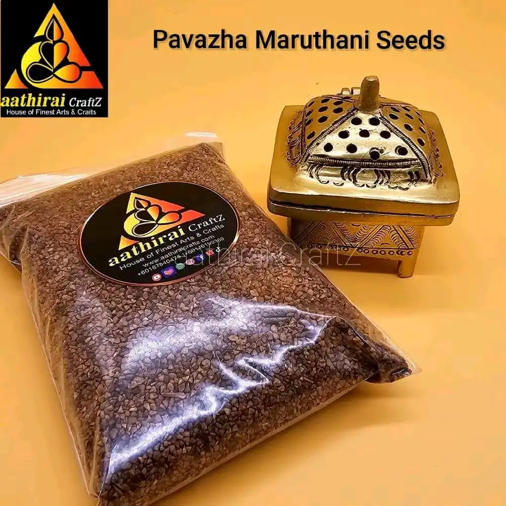 Pavazha Maruthani Seeds / Coral Henna Seeds – 100G - image 2