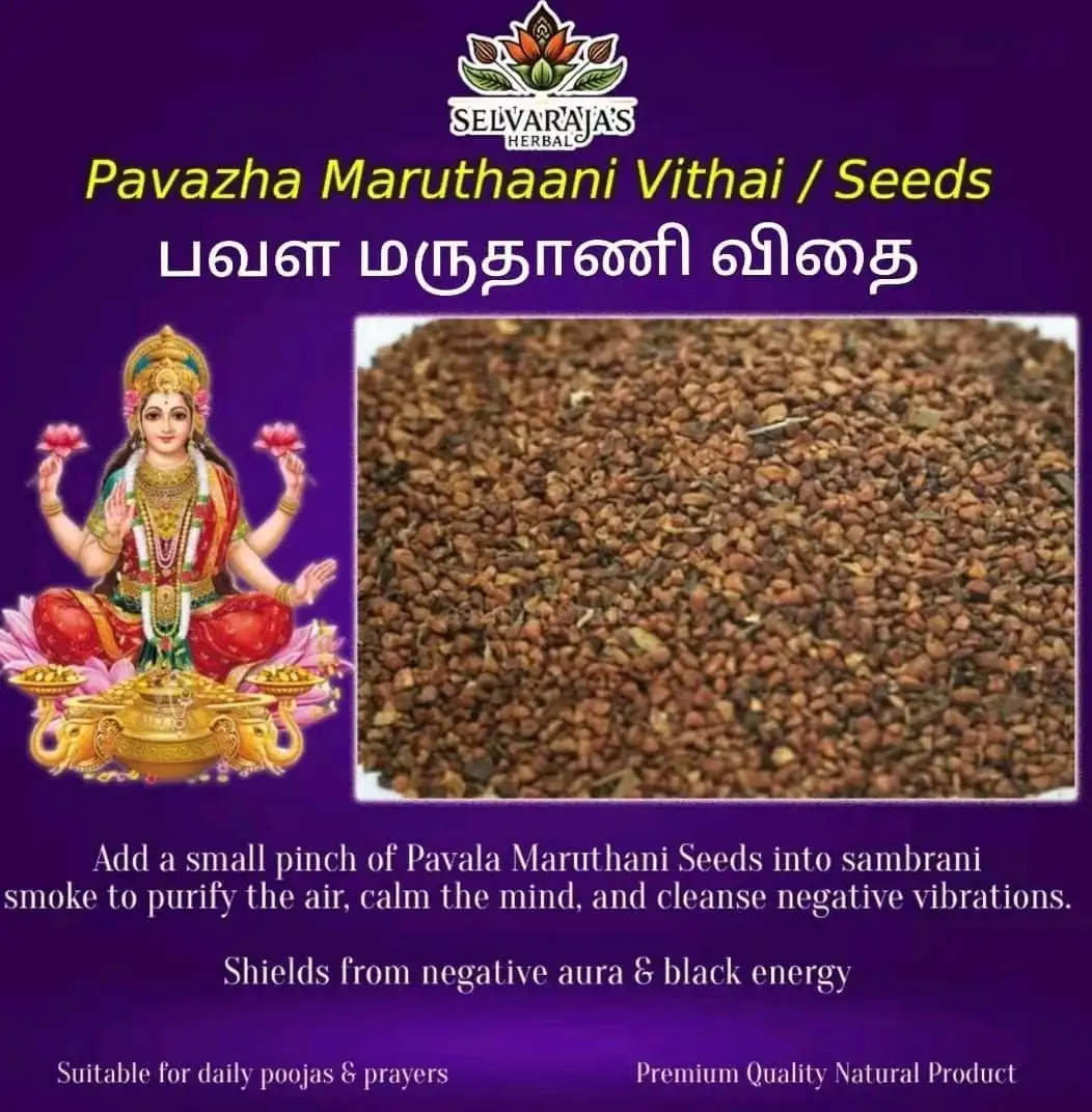 Pavazha Maruthani Seeds / Coral Henna Seeds – 100G - image 1