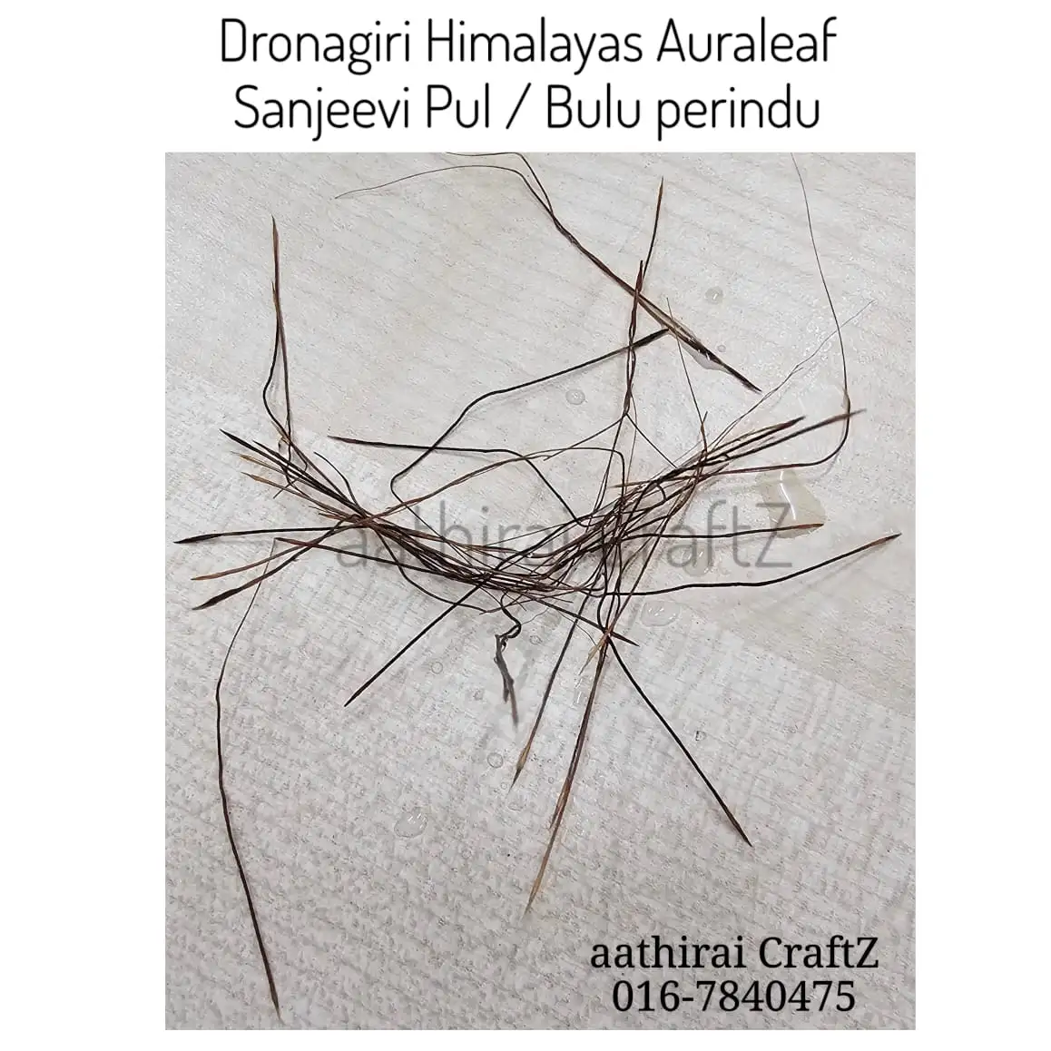 Dronagiri Sanjeevi Pul - image 1